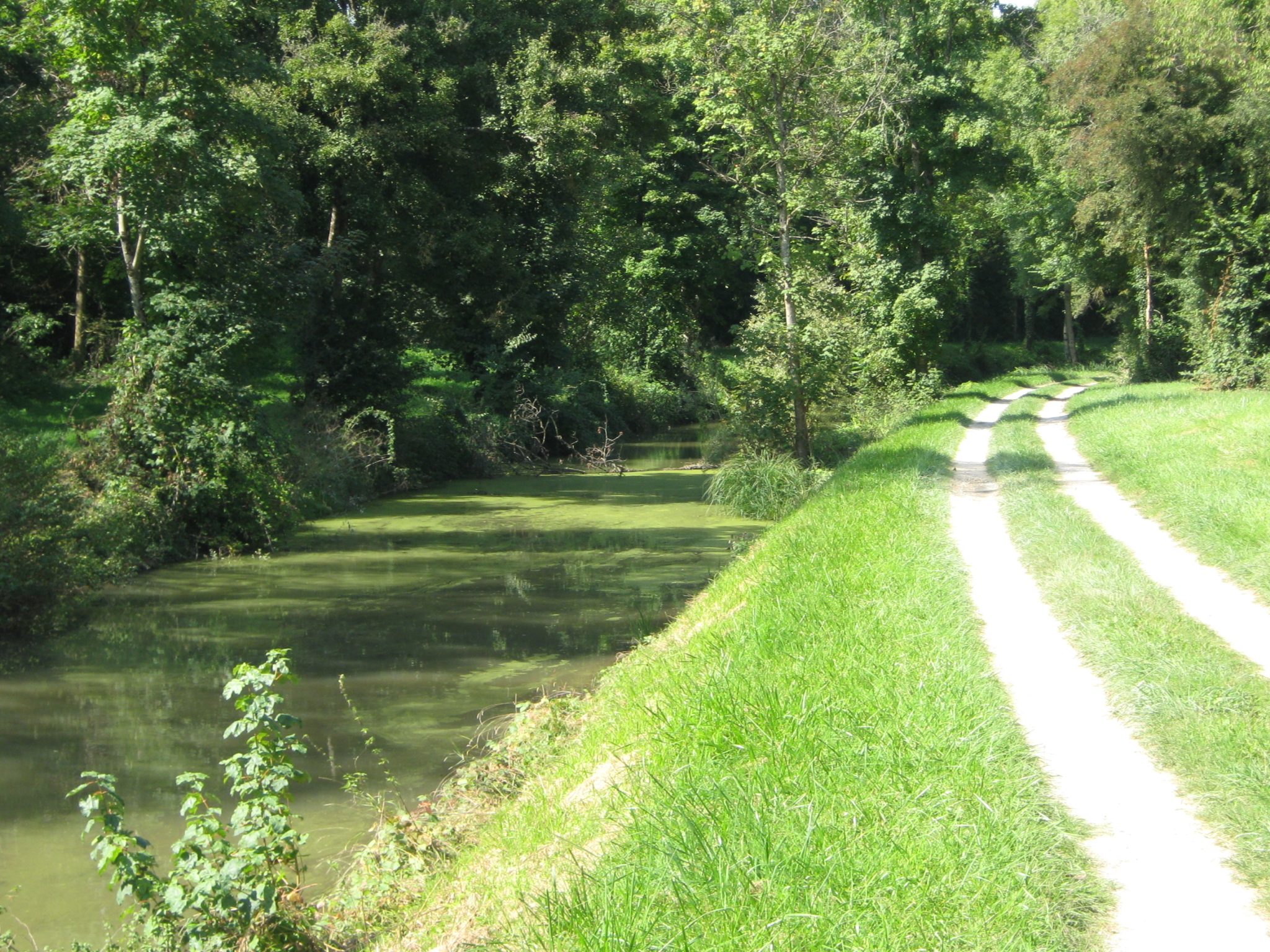 Trachée d'Augy-sur-Aubois ©SMPLVA