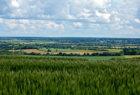 Bocage de la Vallée de l'Aubois ©Léa Dennez - Loire en Berry