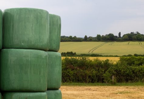 Paysage de campagne ©Loire en Berry