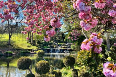 Parc floral d'Apremont