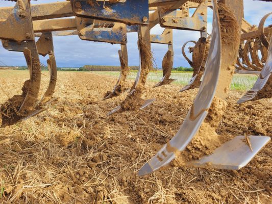 Déchaumage à La Ferme des Cinq Terres © Elise Besse-Joulin