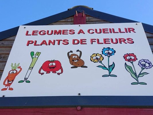 Jardin © Jardin de la Tuilerie