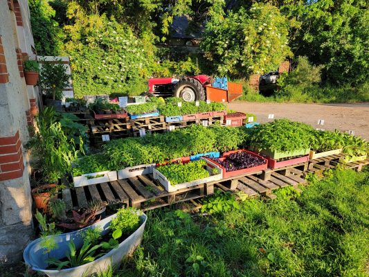 jardinsdelagarde © Maurice