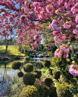 B01A0D9B-B0E9-4F1B-8915-7C906A657AE7 2 © Parc floral d'Apremont