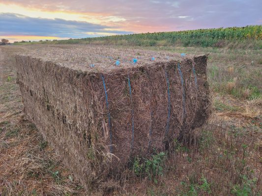 BOTTE PAILLE DE LIN IDEAL PAILLAGE © Elise Besse-Joulin