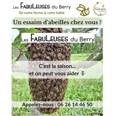 Essaim d'abeilles © Elise Besse-Joulin