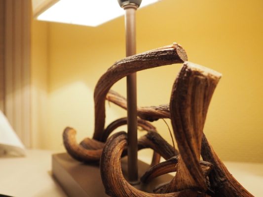 HOTEL LOGIS SAINT JOSEPH SANCOINS CHAMBRE DETAIL © Tourisme & Territoires