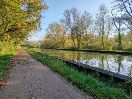 Bord du Canal Latéral à la Loire © Léa Dennez - Loire en Berry