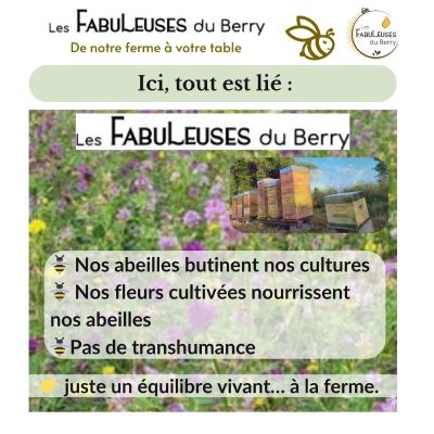 Ici, pas de transhumance, pour le bien-être des abeilles © Elise Besse-Joulin