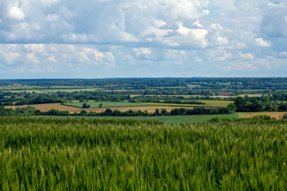Vallée de Germigny © L.Dennez - Loire en Berry