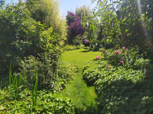 Jardin © Ia Oana