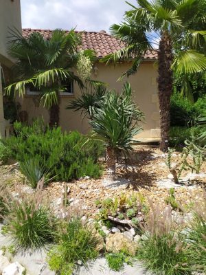 Jardin CH © Ia Oana