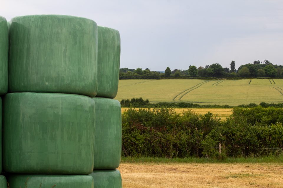 Campagne ©Loire en Berry