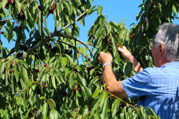 © Loire en Berry