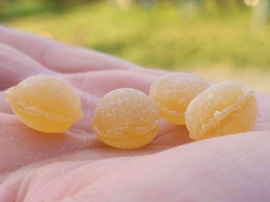 Perles propolis et miel © Elise Besse-Joulin