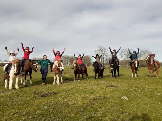 ecuries_aubois_poney © Écurie de l'aubois