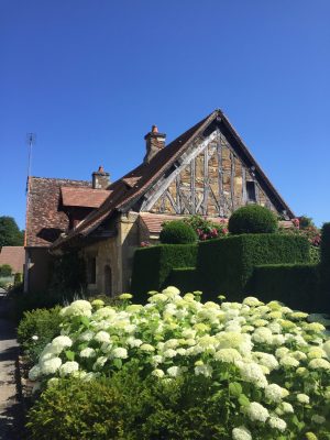 maison jacques Namont - hortensia en fleurs  © Parc floral d'Apremont