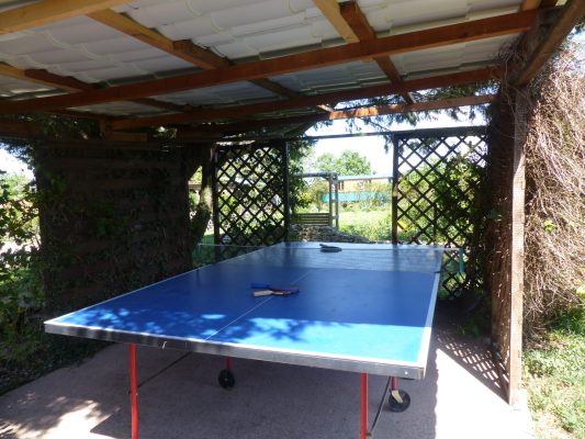 ping pong © 1